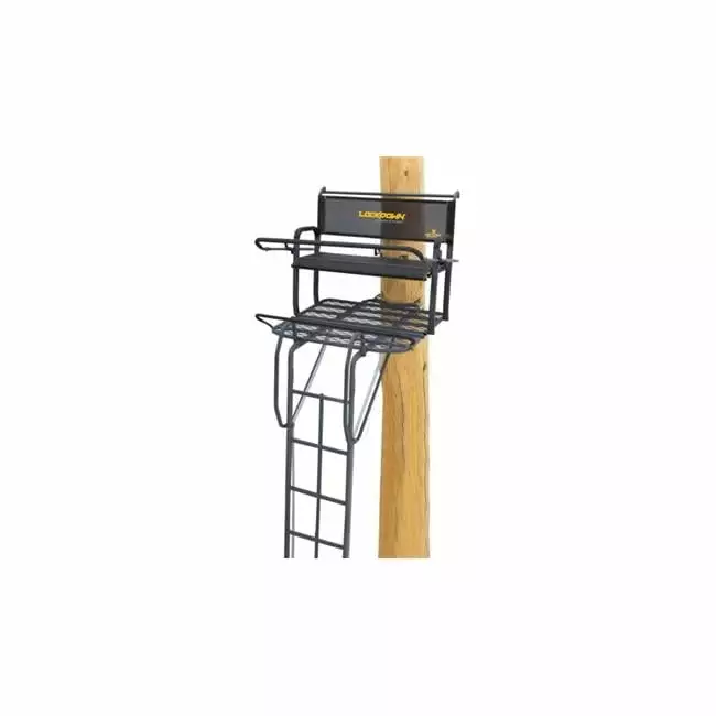 21 ft. Lockdown 2man Ladder Stand