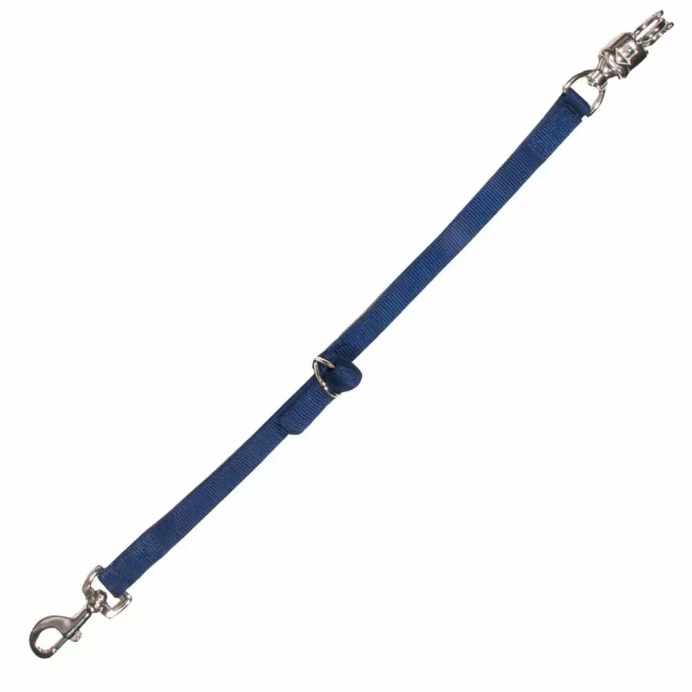 Short Standard Handle Ratchet for 2 Webbing