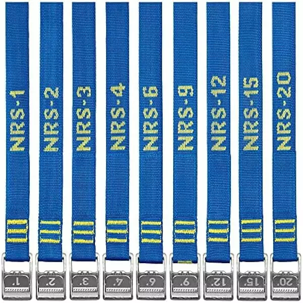 wangc123 1 HD Tie-Down Straps 9' 4-Pack Iconic Blue